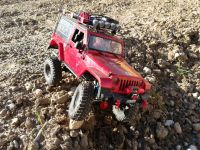 RC Crawler Amewi AMXrock Crawler Wild Rubicon Baden-Württemberg - Kappel-Grafenhausen Vorschau