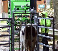 Selbst.Klauenpfleger /Kühe/Bauernhof/Pflege Nordrhein-Westfalen - Harsewinkel Vorschau