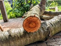 Kirschbaumstamm zu verkaufen Mecklenburg-Vorpommern - Wismar Vorschau