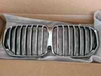 BMW X5 G05 Frontgrill Niere Ziergitter Kühlgitter Wiesbaden - Mainz-Kostheim Vorschau