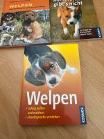 Hunde Bücher Bücher Hunde Hundebuch Hundebücher Nordrhein-Westfalen - Hagen Vorschau