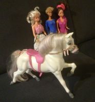 Barbie-Pferd Niedersachsen - Celle Vorschau