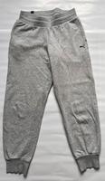 Puma Jogginghose Hose grau Gr. S Sachsen - Radebeul Vorschau