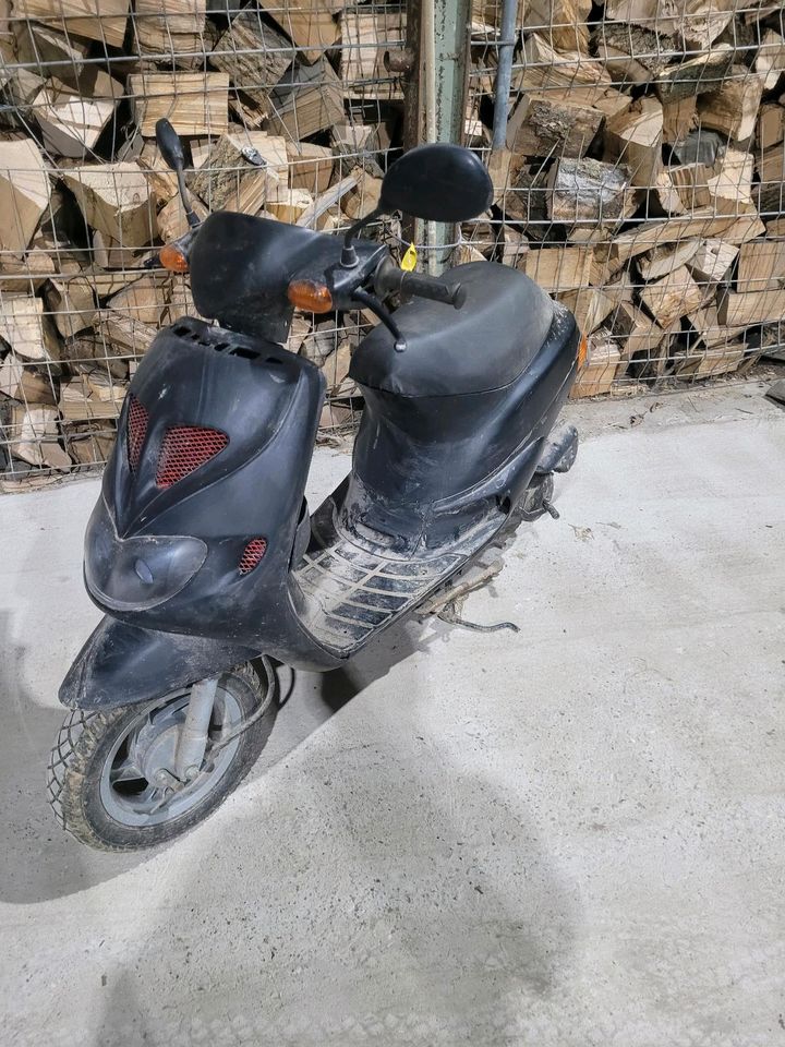 Piaggo 50 ccm Roller in Winnemark