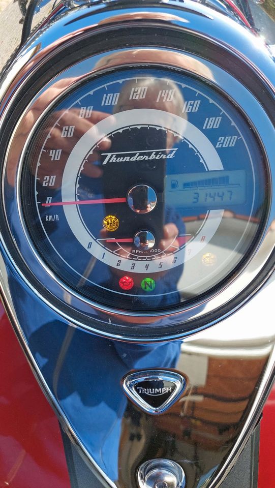 Triumph Thunderbird 1600 in Moos