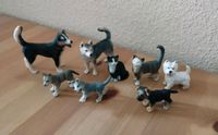 8 Tiere Schleich Hunde Katzen Wölfe Nordrhein-Westfalen - Gütersloh Vorschau