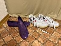 Damen Ballerina und Freizeitschuhe Größe 39 Kr. Altötting - Garching an der Alz Vorschau