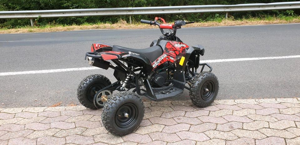 pocketquad  49cc mini Kinder Quad Avenger Sport 6" in Bad Breisig 