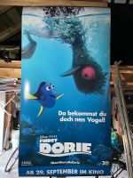 Banner/Kino: Findet Dorie; Findet Nemo Baden-Württemberg - Crailsheim Vorschau