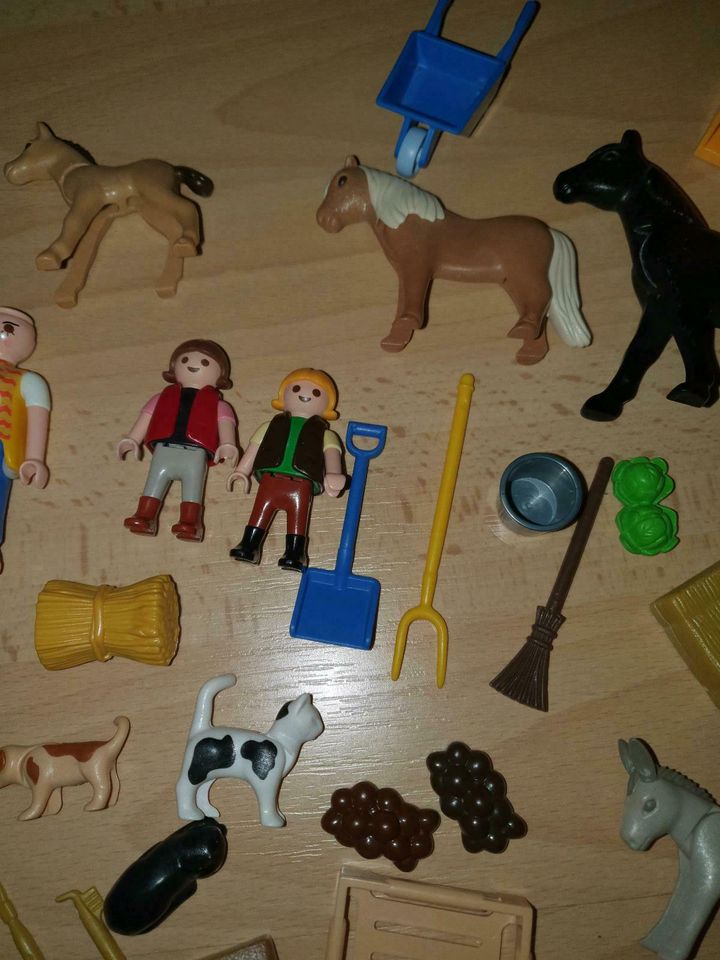 Playmobil Pferde Esel Katze Hund Fohlen Pferdedecke  Schubkarre in Kaltenkirchen