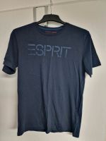 Wie NeU Esprit T-Shirt Größe M Herren Original Dunkelblau Blau Bayern - Lindau Vorschau