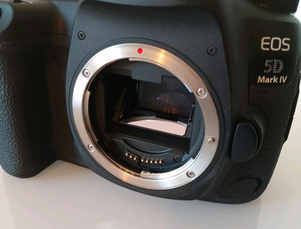 Canon EOS 5D Mark iv in Immenhausen