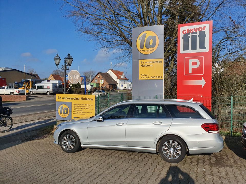 E 220CDI Blue Efficiency Kombi Automatik in Haltern am See