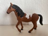 Schleich 72138 Pinto Stute braun exklusiv Hessen - Herborn Vorschau