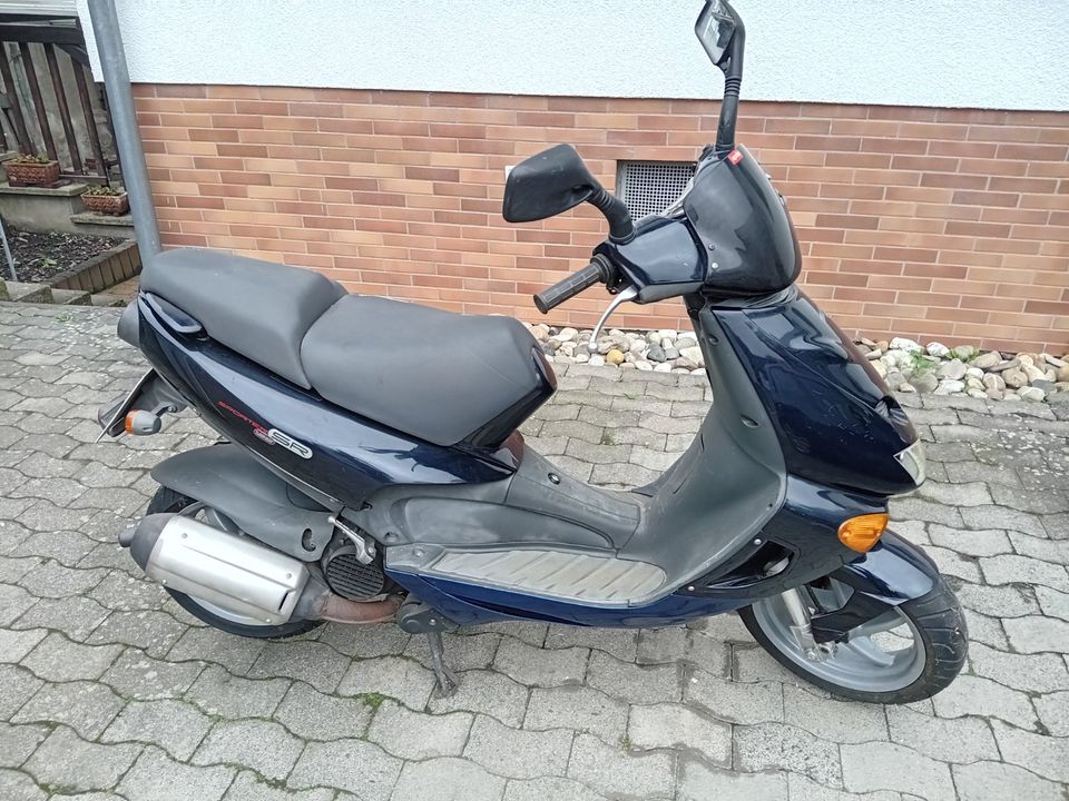 Motorroller Aprilia PX in Ober-Ramstadt