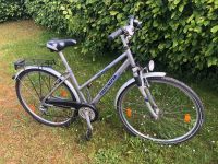 Damenfahrrad Triumph Trekking Bayern - Zweckham Vorschau