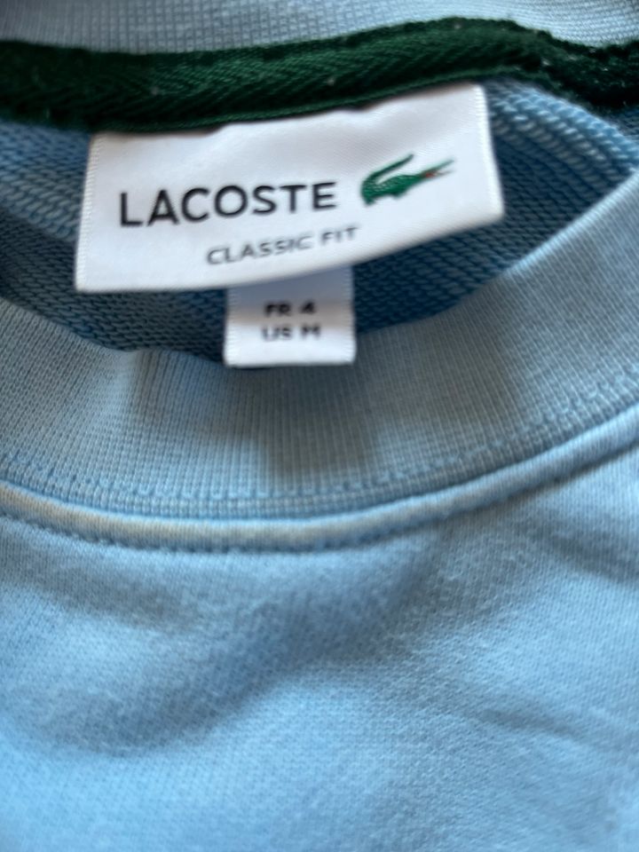 Lacoste Pullover M in Markkleeberg