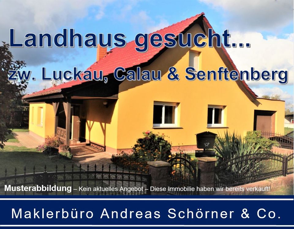 Einfamilienhaus gesucht in Lübben, Lübbenau, Luckau, Calau o. Vetschau! in Calau