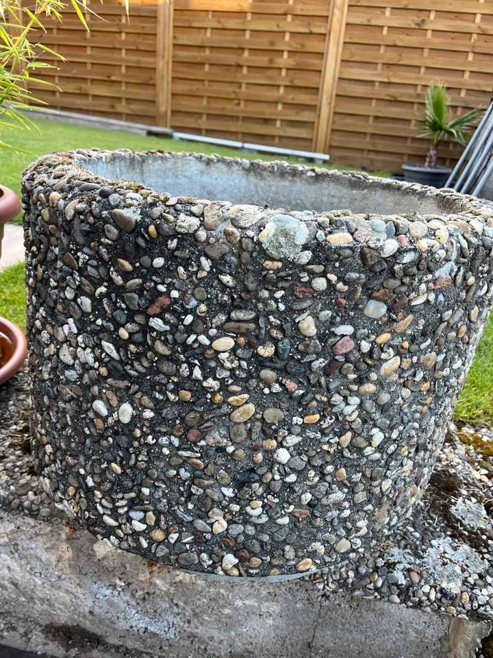 Waschbetonkübel in RheinlandPfalz Rockenhausen kleinanzeigen.de