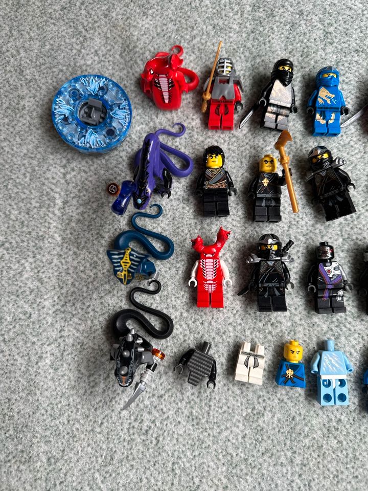 Lego ninjago Minifiguren in Fachbach