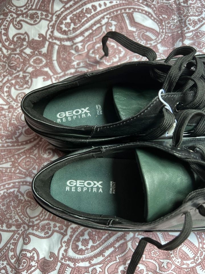 Geox Vintage Plateau Sneaker Gr. 38 in Allagen