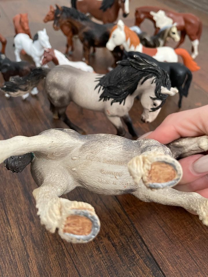 Spielzeug Pferde Sammlung. 16 Stück in Itzehoe