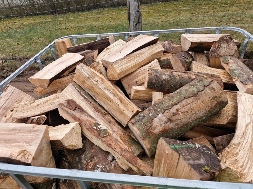 Brennholz /  trocken Kaminholz Buche halbtrocken zu verkaufen in Milmersdorf