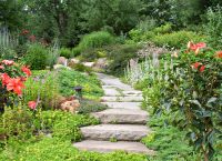 Gärtner, Gartenpflege, Gartenhilfe in Duisburg /Niederrhein Nordrhein-Westfalen - Dinslaken Vorschau