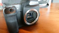Canon 50D Body, gepflegt, wenige Auslösungen Rheinland-Pfalz - Gillenbeuren Vorschau
