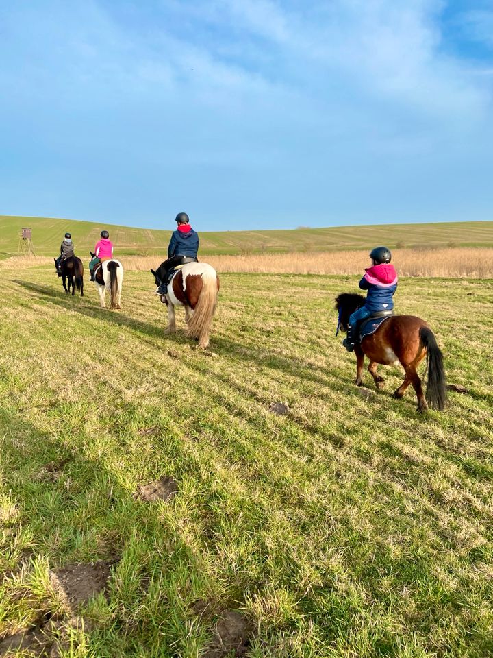 Kindergeburtstag Kinderparty Reiten Ponyreiten in Bützow