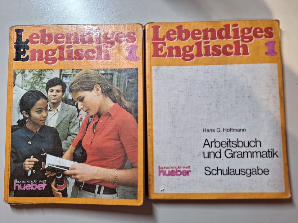 Lebendiges Englisch 1 Lehrbuch sowie Arbeitsbuch und Grammatik in Wadgassen