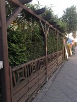 Hecke und Bambus zuverkaufen Berlin - Neukölln Vorschau