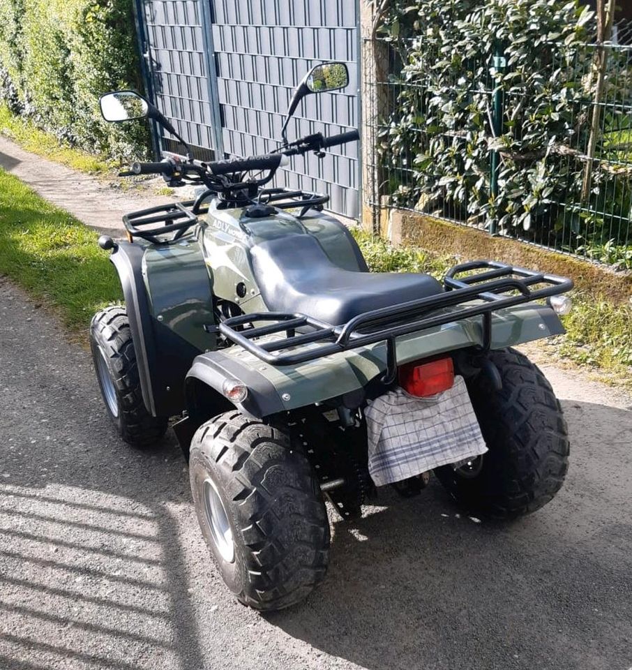 Herkules Quad ATV 300 in Gießen