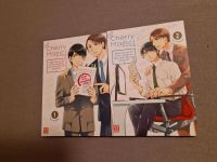 Cherry Magic 1-2 Manga, Comic, Bücher, Buch, Reihe Niedersachsen - Seelze Vorschau