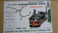 Fahrkarte Wilder Robert 100 Jahre Schmalspurbahnhof Mügeln 1984 Sachsen - Mügeln Vorschau