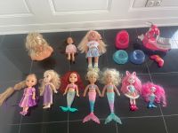 Verschiedene Puppen Arielle/ Rapunzel/ Elsa Babyborn Roller !! Niedersachsen - Seevetal Vorschau