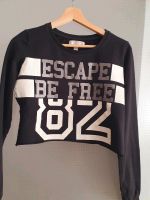 Bershka Shirt Gr.M Top Zustand Nordrhein-Westfalen - Dinslaken Vorschau