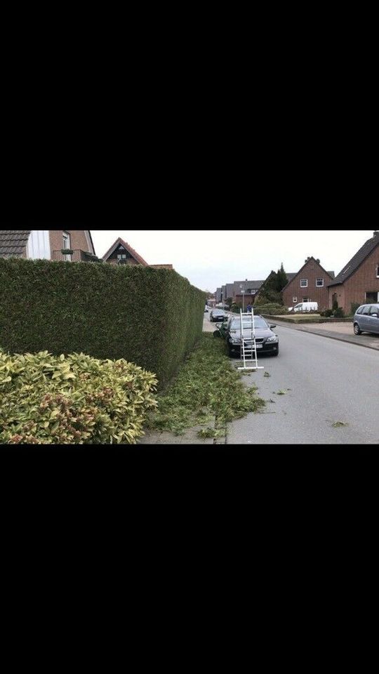 Gartenpflege Hecke schneiden Garten Obstbaumschnitt Hilfe Garten in Bocholt