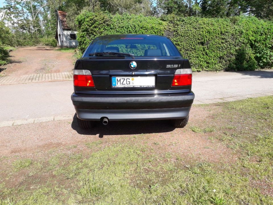 BMW E36 316i Compact Tüv 6/25 Leder Standhzg. Sitzhzg. Klima in Losheim am See