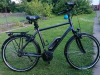 E Bike Victoria 28 Zoll/Diamant/Herren/gepflegt/Bosch Motor Niedersachsen - Salzgitter Vorschau