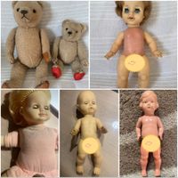 Schildkröt Puppen, Celluloid Puppe, alt verschiedene, Strohteddys Nordrhein-Westfalen - Minden Vorschau
