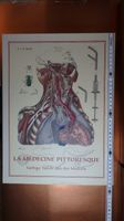 La Medecine Pitoresque, A.L.G.Bayle, gut erhalten Baden-Württemberg - Aidlingen Vorschau