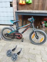 Cube cubie 16 Zoll Kinderfahrrad Bayern - Höllhammer Vorschau