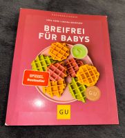 Breifrei für Babys Buch Sachsen - Freital Vorschau