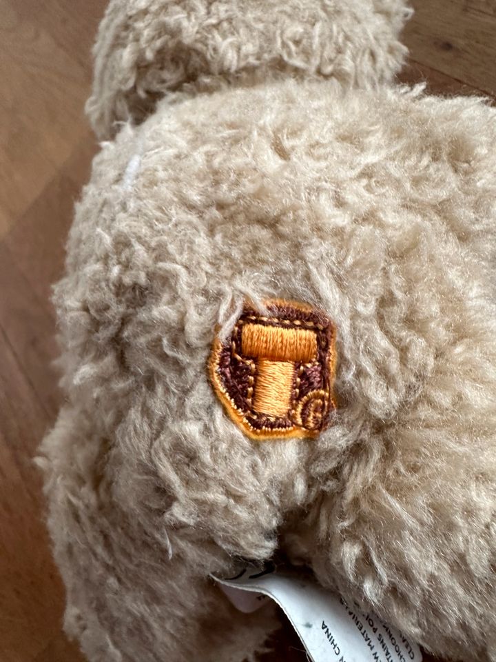 ❗️Der etwas andere Teddybär von Tuttels möchte ein neues Zuhause in Schwerin