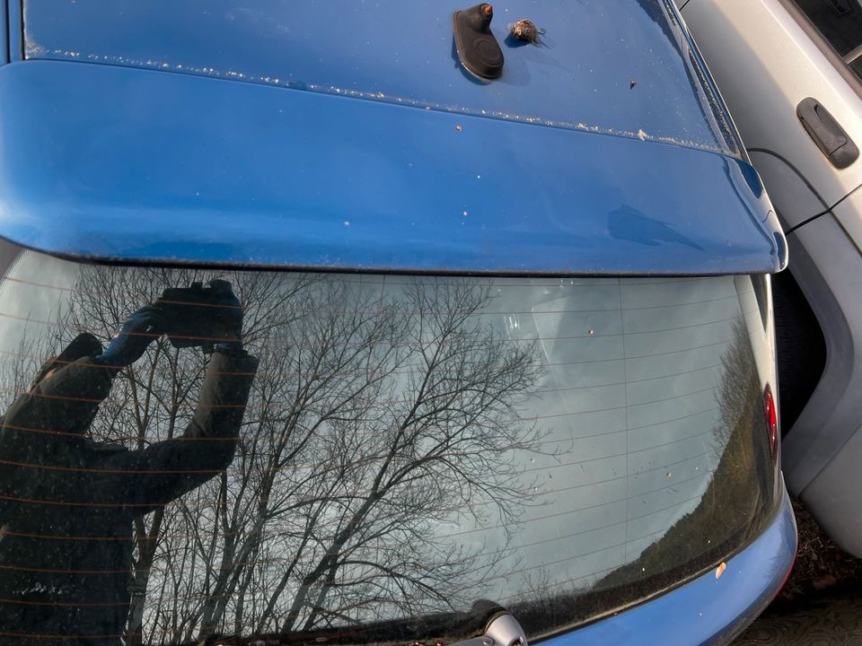 Heckklappe Audi A3 8L Facelift mit s3 Dachspoiler LZ5W in Hochstätten