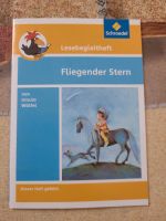 Fliegender Stern Münster (Westfalen) - Kinderhaus Vorschau