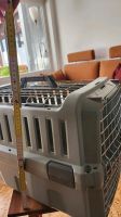 Hunde Transportbox Obervieland - Kattenesch Vorschau