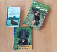 3 Hundebücher Niedersachsen - Bad Bevensen Vorschau