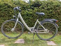 Hercules Citybike FreeJoy light grau/silber 28 Zoll 21 Gänge Thüringen - Waltershausen Vorschau